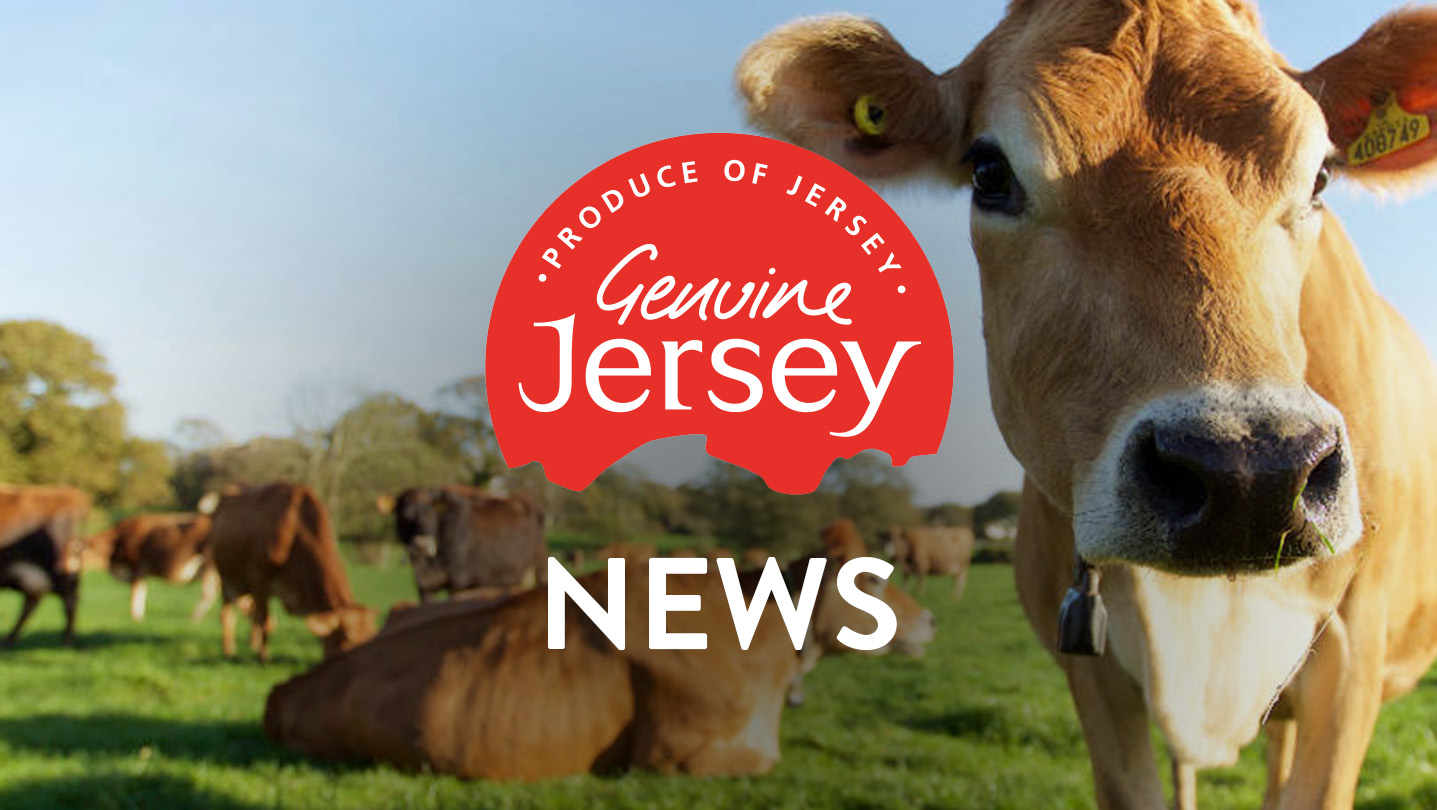 Genuine Jersey Landscape News V2